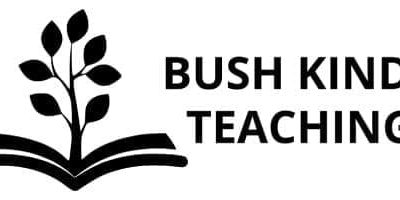 Bush Kindy Teaching – our guest at Chillogan Chilli & Rum Festival 2024