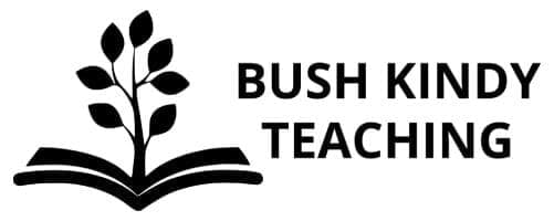 Bush Kindy Teaching – our guest at Chillogan Chilli & Rum Festival 2024