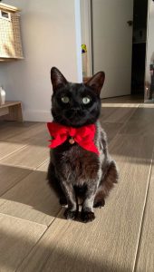 5130032B 86EA 4ABD 9768 850AFDE810D6