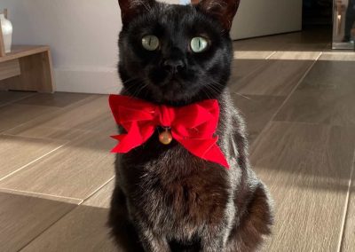 5130032B 86EA 4ABD 9768 850AFDE810D6